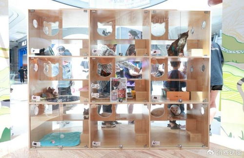 霸王茶姬 以宠粉文化用品，打造情感链接新标杆